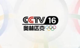 央视频道在线直播,实时捕捉精彩瞬间，尽享视听盛宴